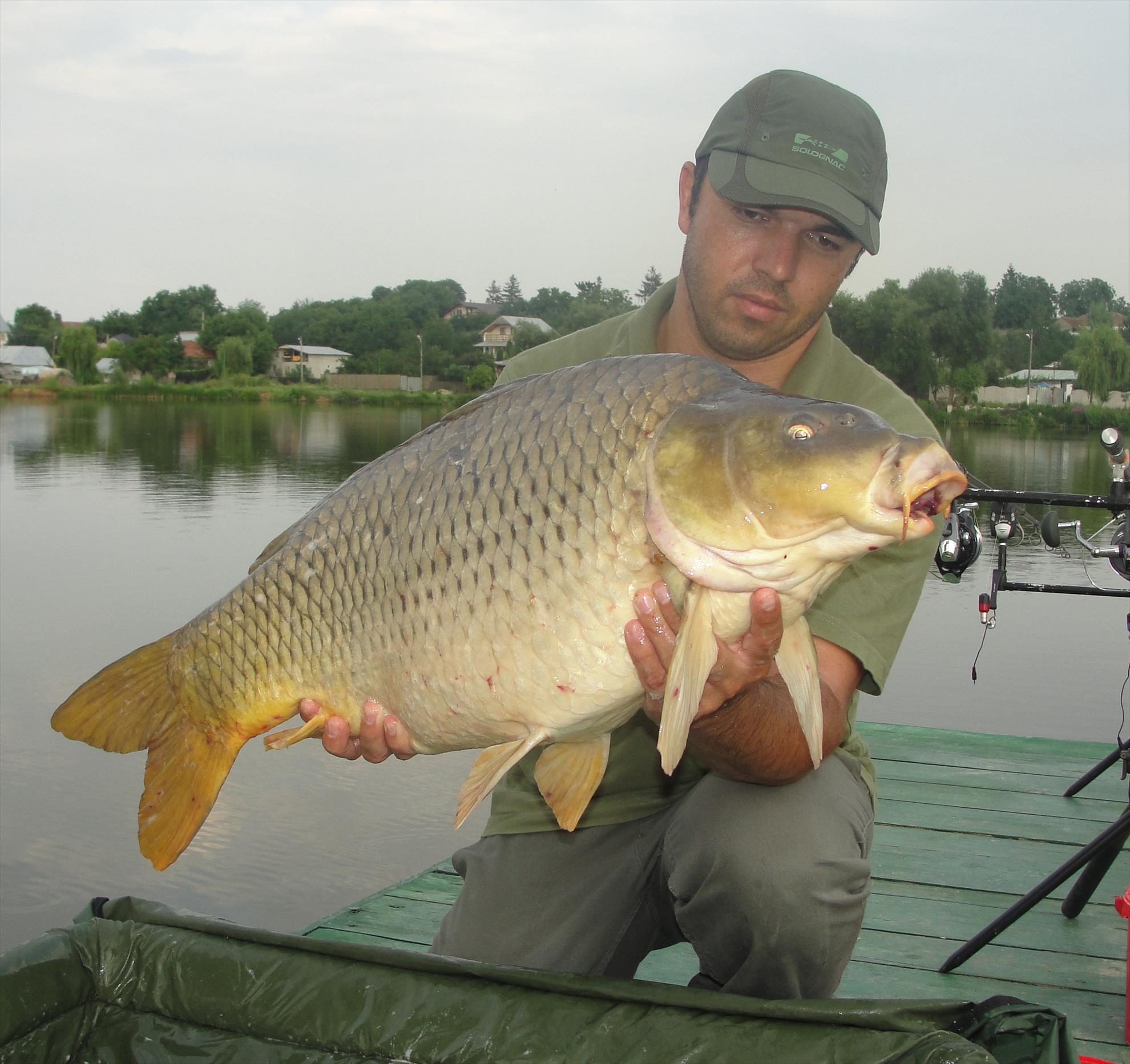 Moara Vlasiei 2 13 - 14 iul.